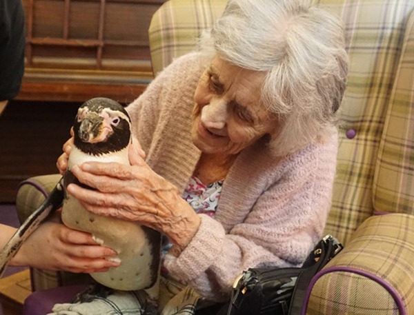 Penguins bring cheer to Newland House