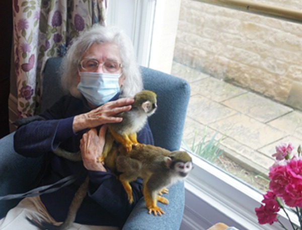 Monkey Business at Newland House