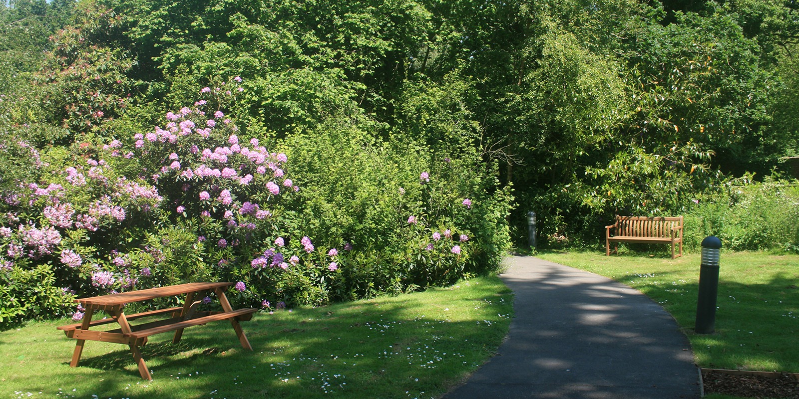 Hazeldene House Garden
